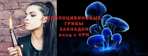 твердый Абинск