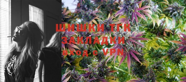 крисы Абаза