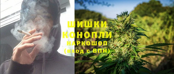 крисы Абаза