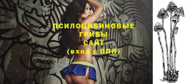 твердый Абинск