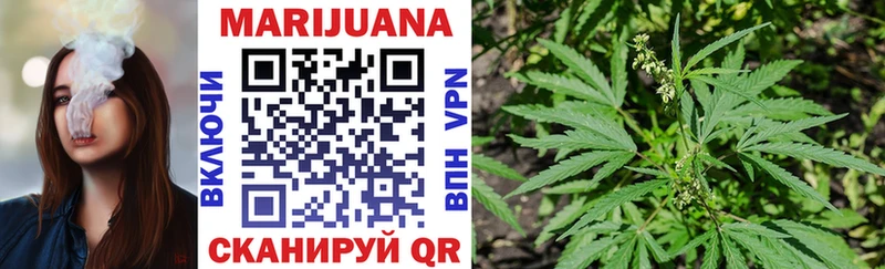 купить наркотики сайты  Барыш  Шишки марихуана марихуана 